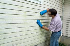 Best Storm Damage Siding Repair  in Salina, OK